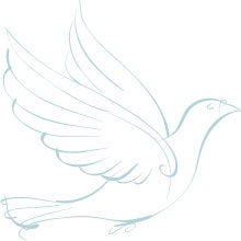 calligraphic dove